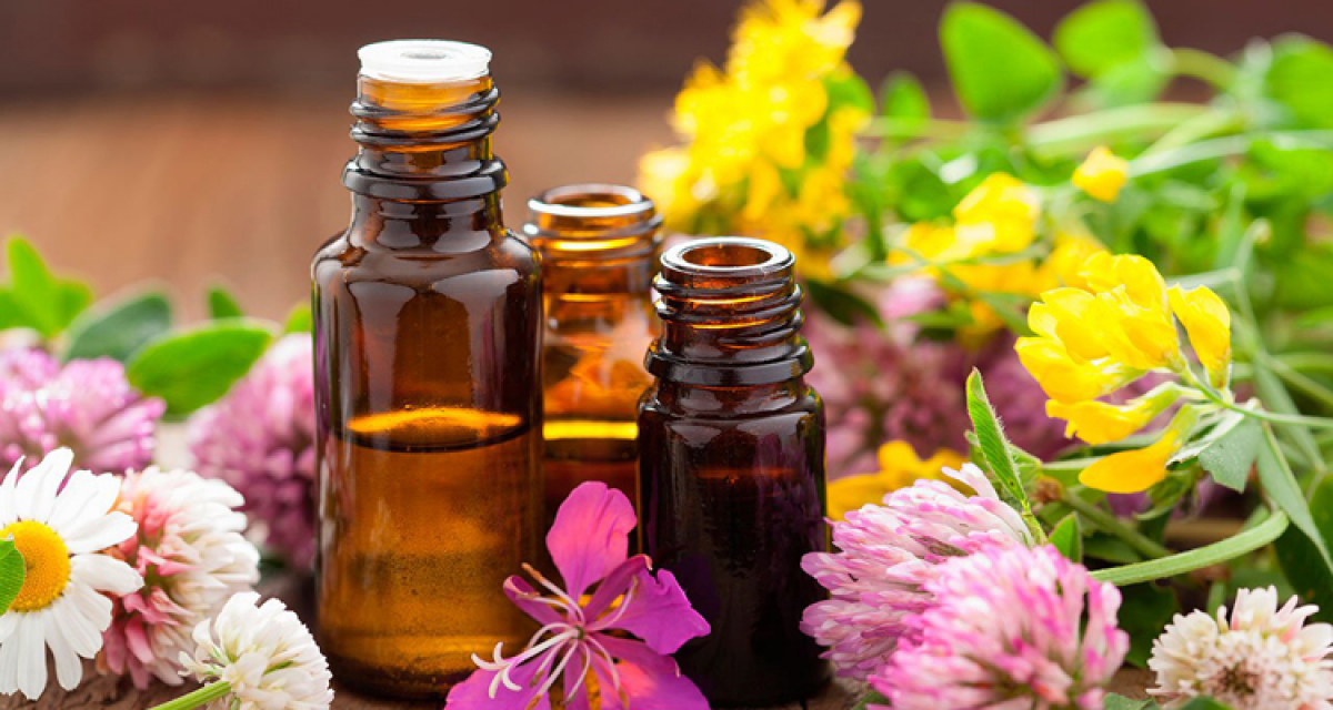 후각의 과학: 에센셜 오일이 뇌와 감정에 미치는 영향